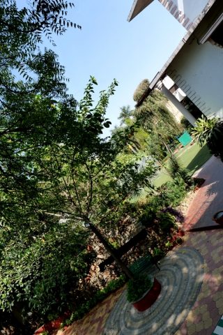 P1076589